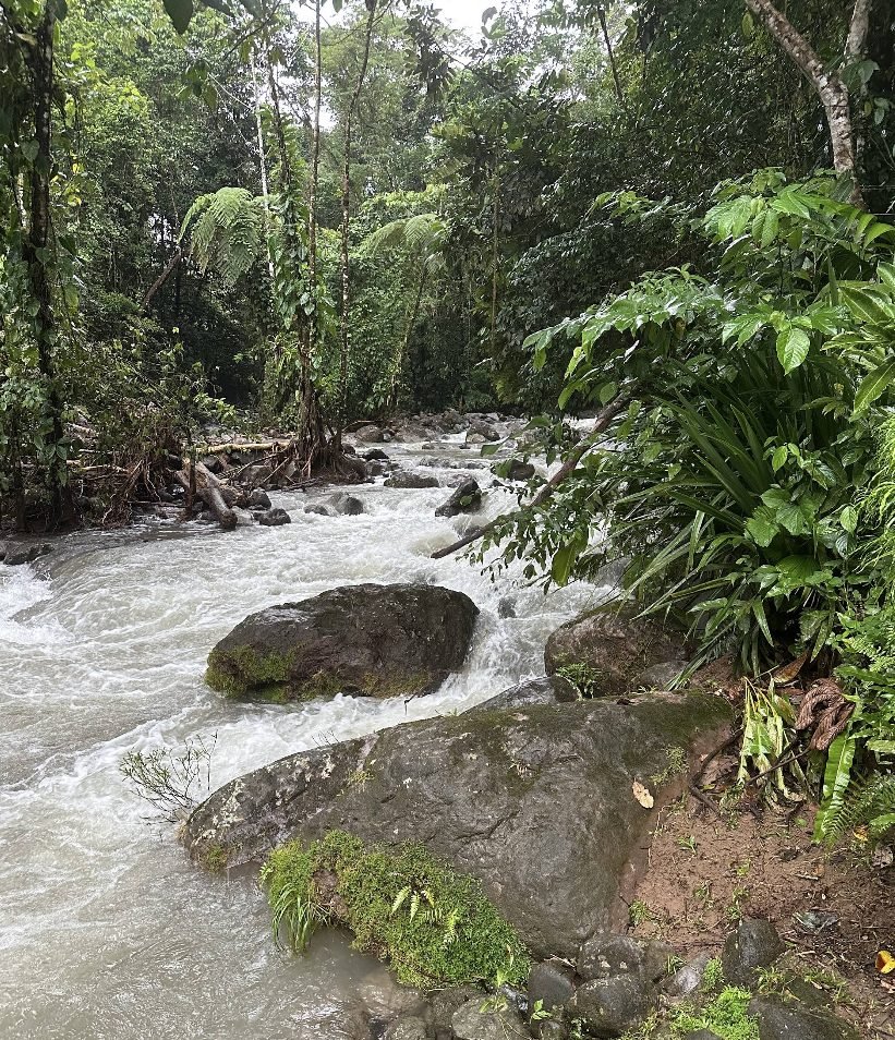 Río junto a Oasis Spa, rodeado de selva tropical